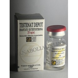 Testenat - Enantato de Testosterona - Landerlan - 4ml - 250mg/ml